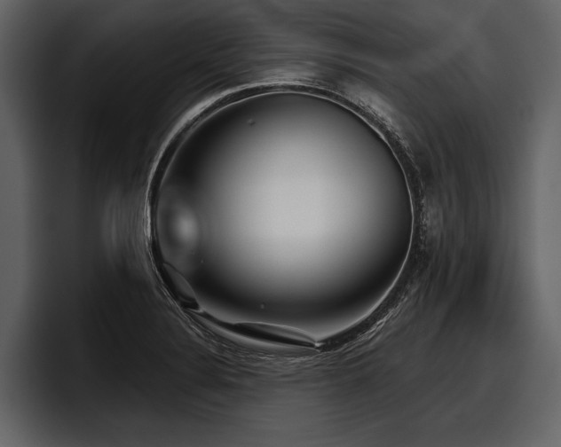 X0000097951324200803241146