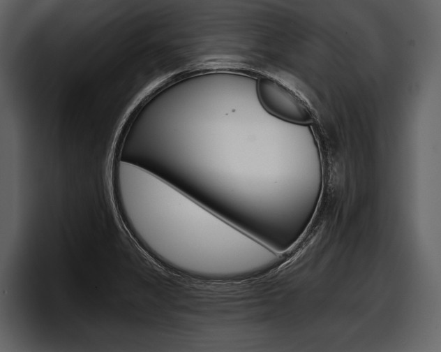 X0000097951325200803241146