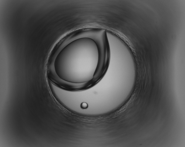 X0000097951326200803241146