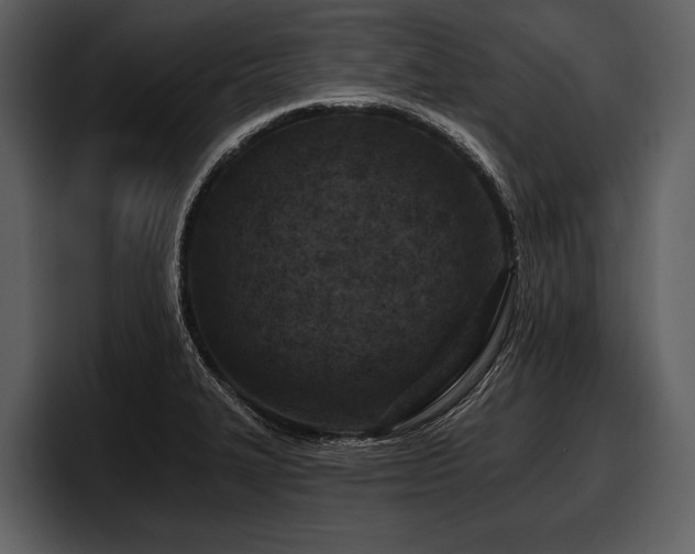 X0000097951327200803241146