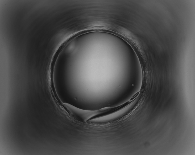 X0000097951328200803241146