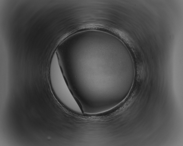 X0000097951329200803241146