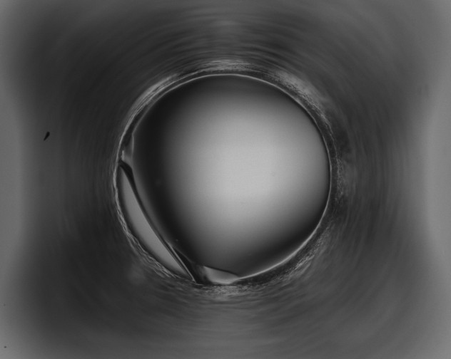 X0000097951330200803241146