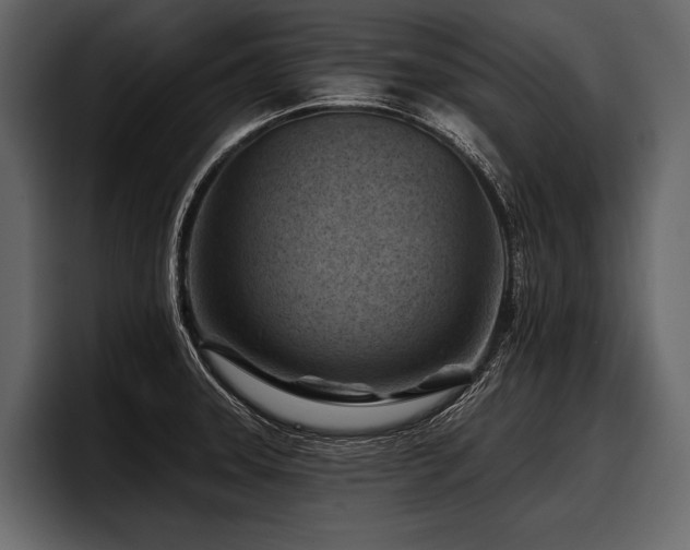 X0000097951331200803241146