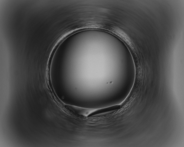 X0000097951332200803241146