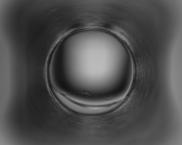 X0000097951333200803241146
