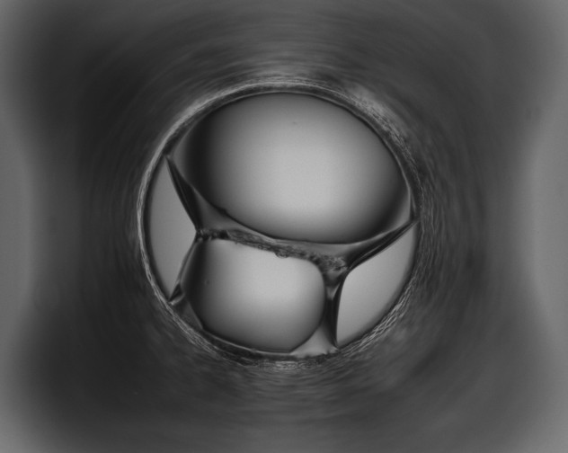 X0000097951334200803241146