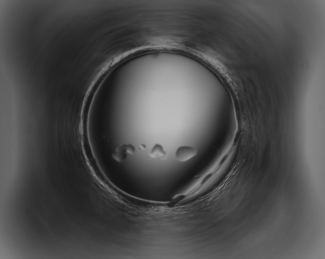 X0000097951335200803241146