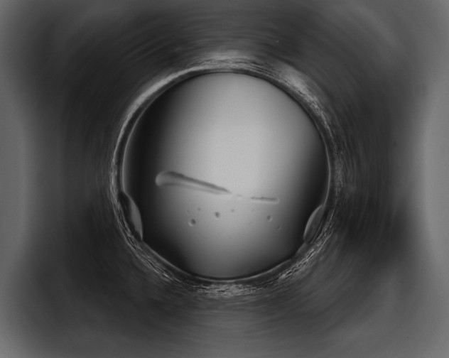 X0000097951336200803241146
