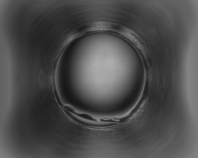 X0000097951337200803241146