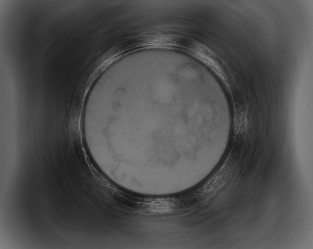 X0000097951338200803241146