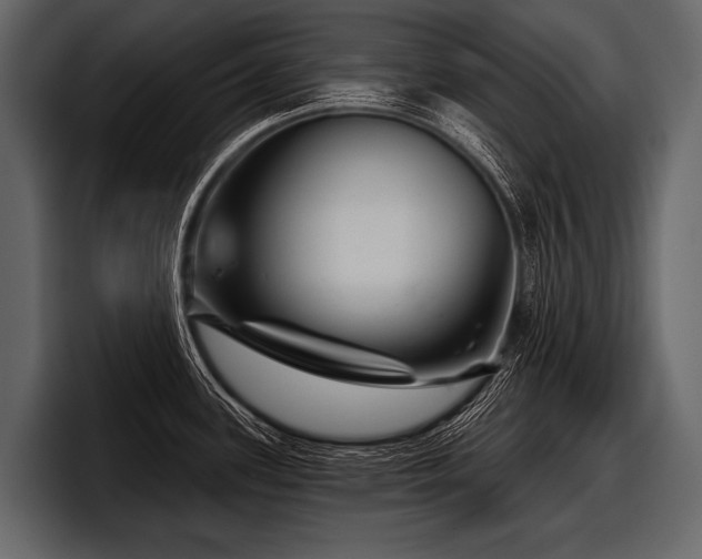 X0000097951339200803241146