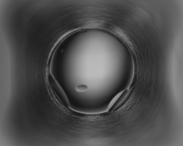 X0000097951340200803241146