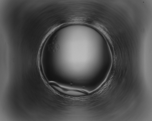 X0000097951341200803241146