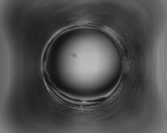 X0000097951342200803241146