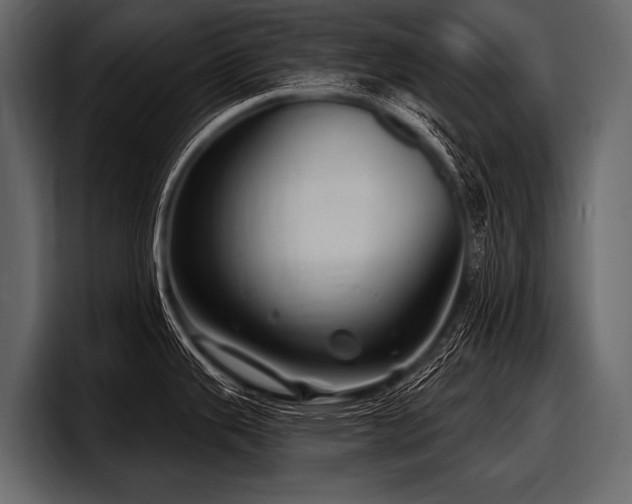 X0000097951343200803241146