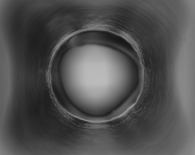 X0000097951344200803241146