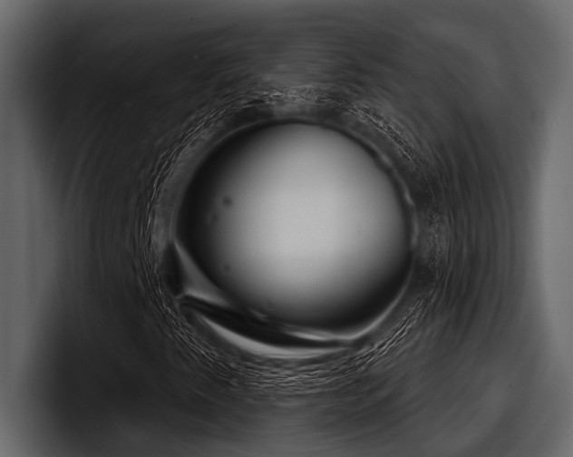 X0000097951345200803241145