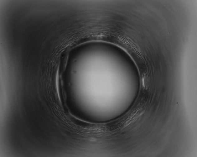 X0000097951347200803241145