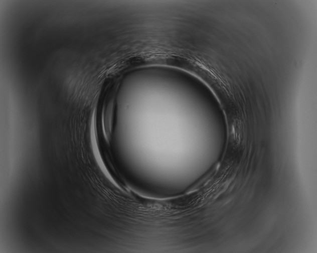 X0000097951348200803241145