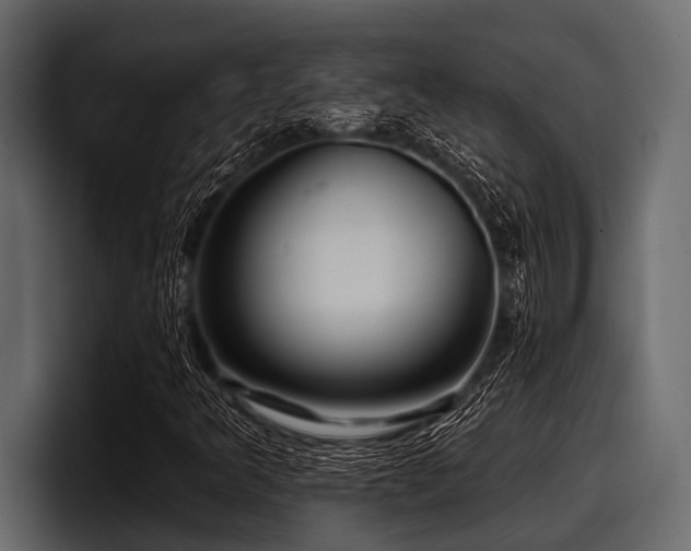 X0000097951349200803241145