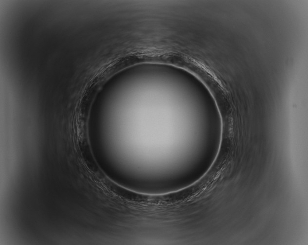 X0000097951350200803241145