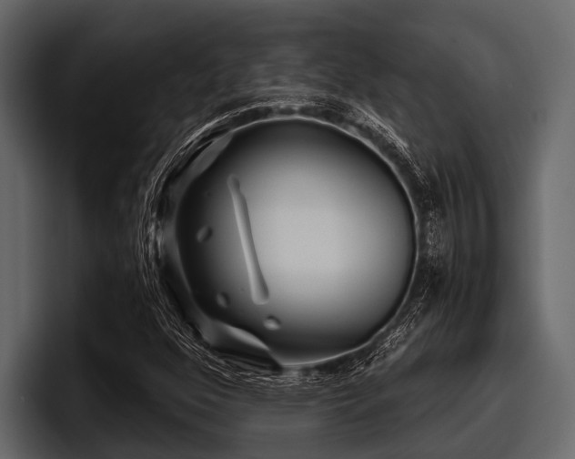 X0000097951352200803241145
