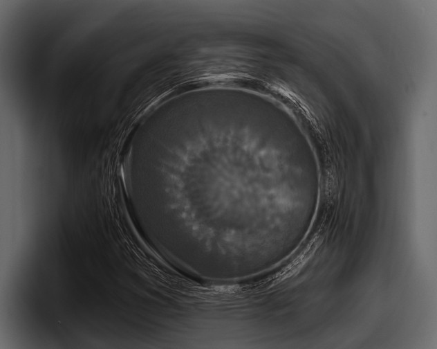 X0000097951353200803241145