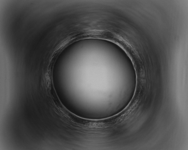 X0000097951354200803241145