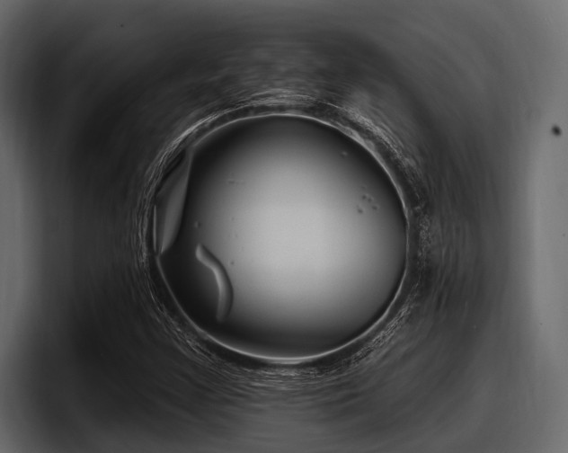 X0000097951355200803241145