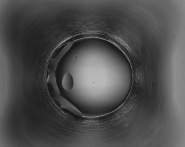 X0000097951356200803241145