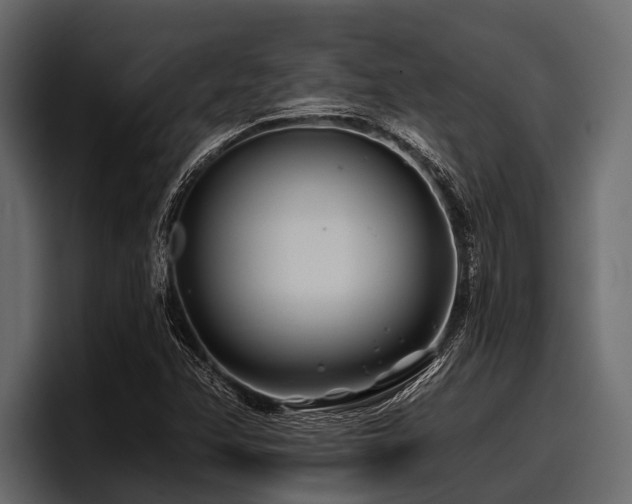 X0000097951358200803241145