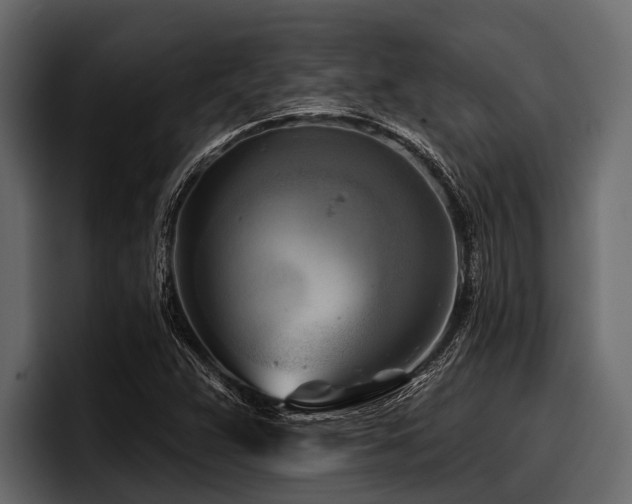 X0000097951359200803241145