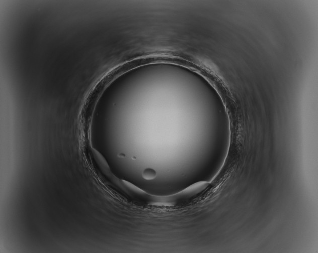 X0000097951360200803241145