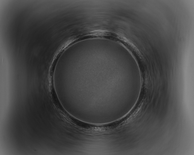 X0000097951362200803241145