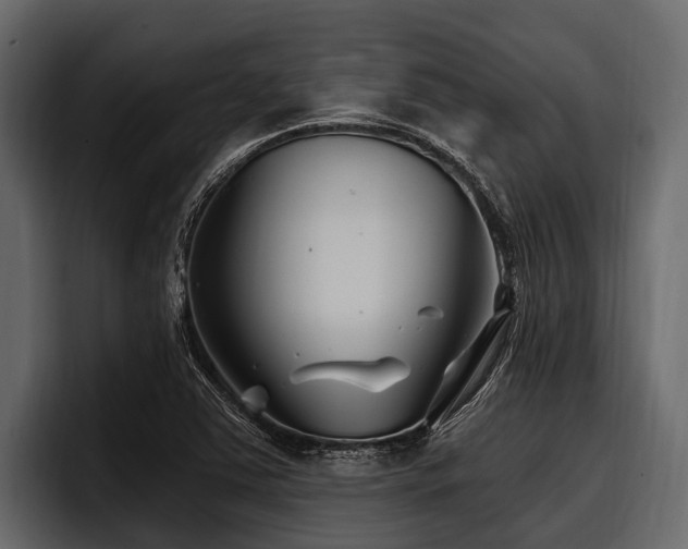 X0000097951363200803241145