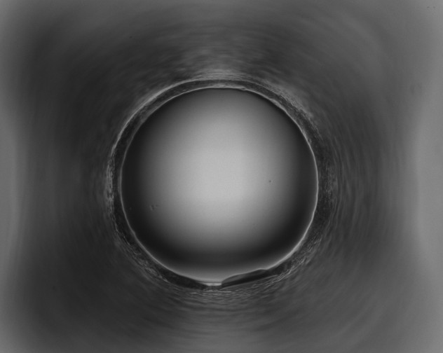 X0000097951364200803241145