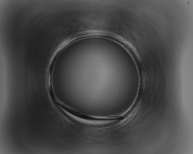 X0000097951365200803241145