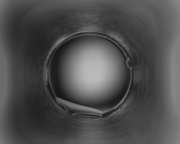 X0000097951366200803241145