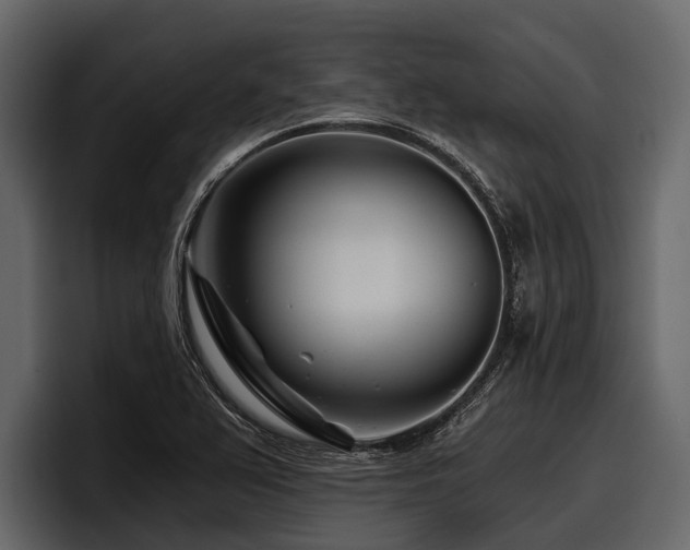 X0000097951367200803241145