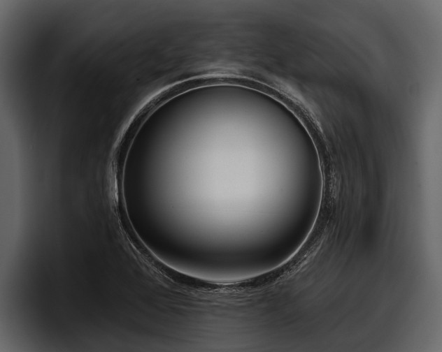 X0000097951368200803241145
