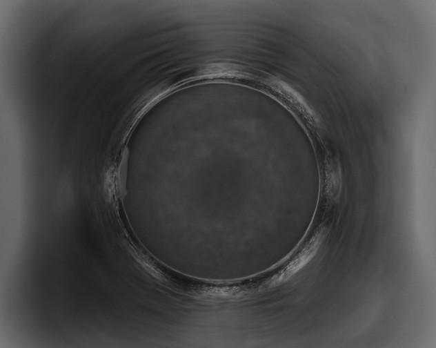 X0000097951369200803241145