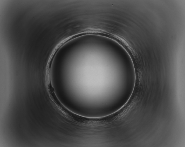 X0000097951371200803241145