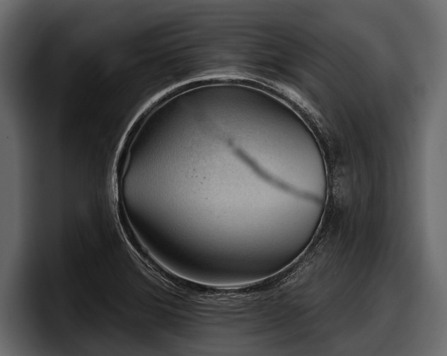 X0000097951372200803241145
