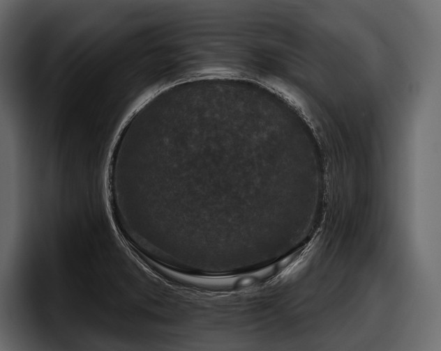 X0000097951373200803241145