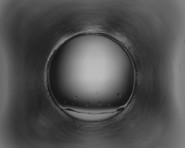 X0000097951374200803241145