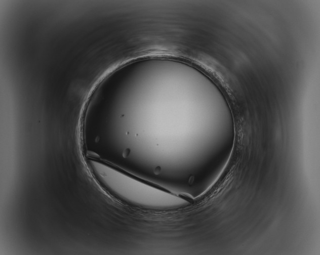 X0000097951375200803241145