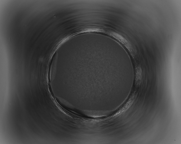 X0000097951377200803241145
