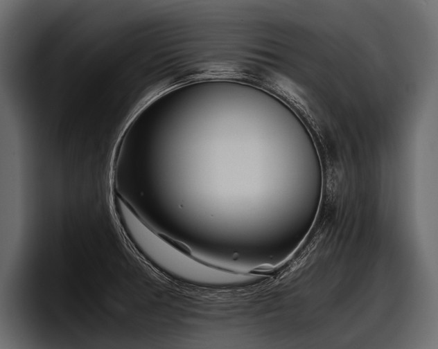 X0000097951378200803241145