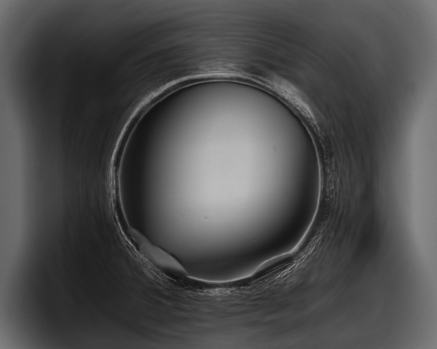 X0000097951380200803241145